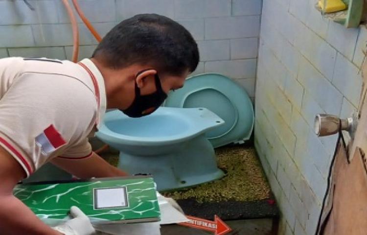 Beritabali.com