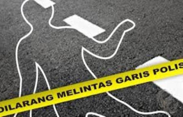 Beritabali.com
