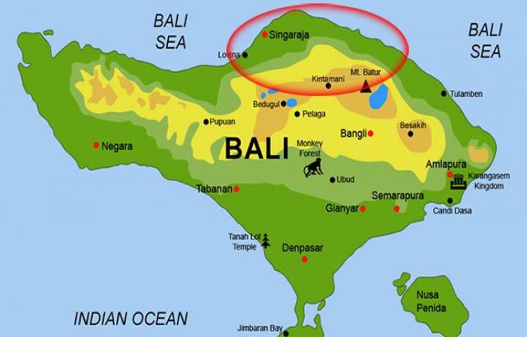 Beritabali.com