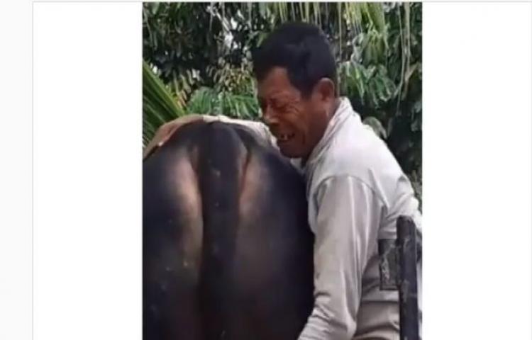 Beritabali.com