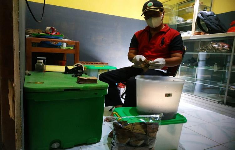 Beritabali.com