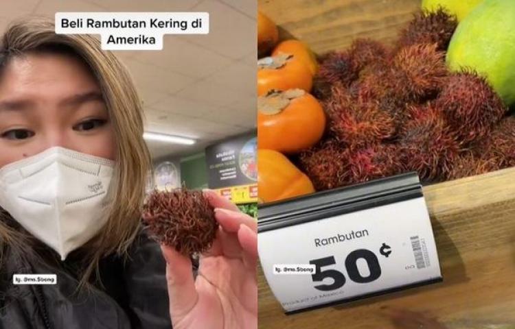 Beritabali.com