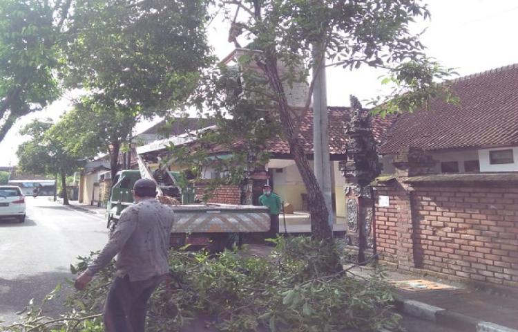 Beritabali.com