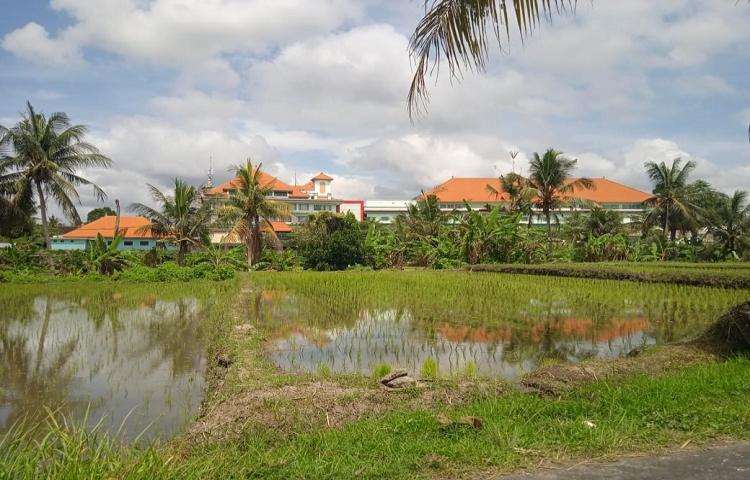 Beritabali.com