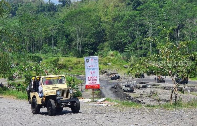 Beritabali.com