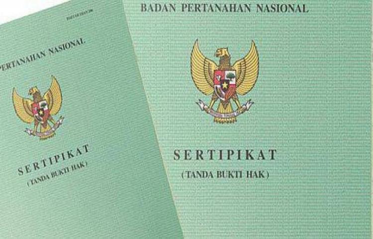 Beritabali.com