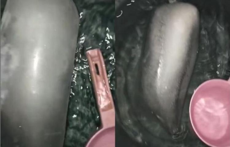 Beritabali.com