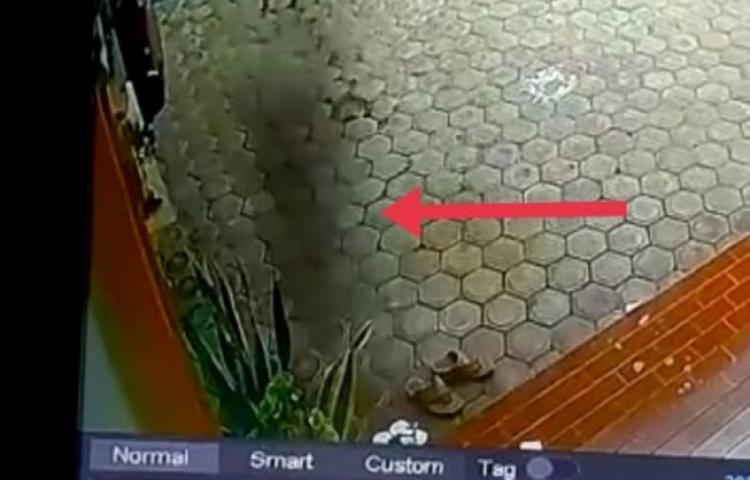 Beritabali.com