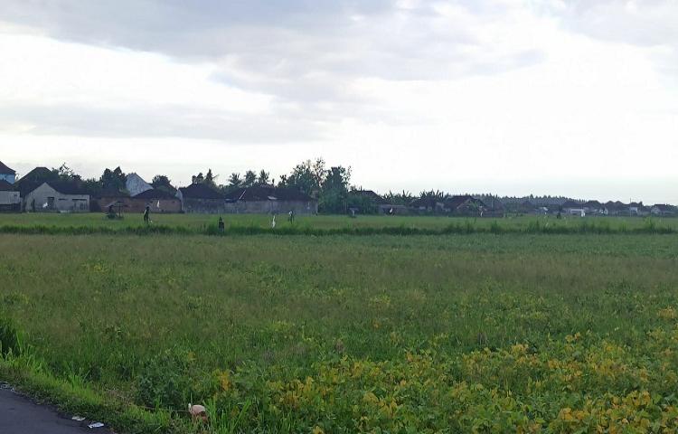 Beritabali.com