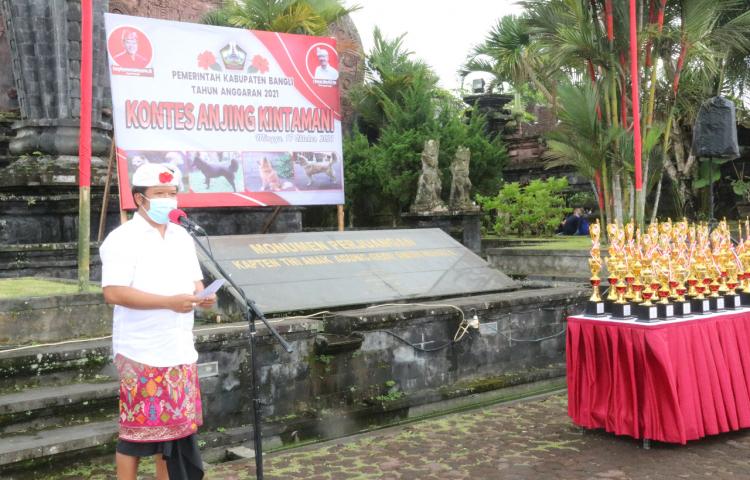 Beritabali.com