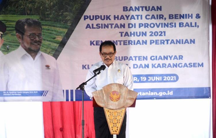Beritabali.com