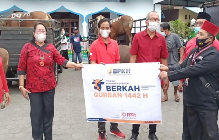 Beritabali.com