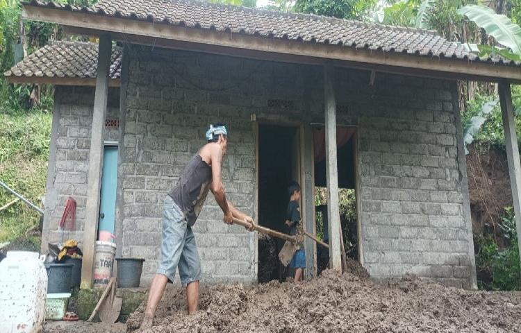 Beritabali.com