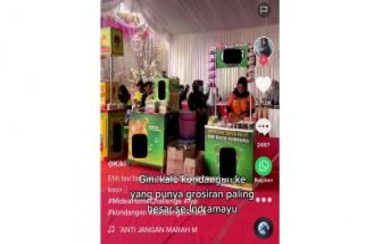 Beritabali.com