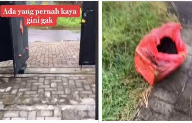 Beritabali.com