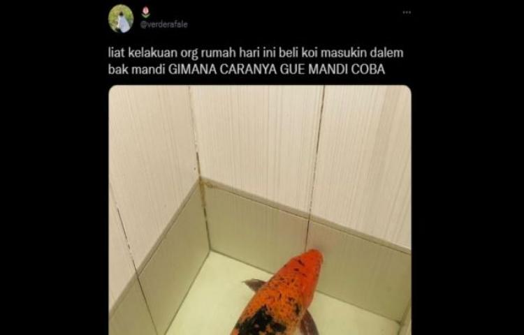 Beritabali.com