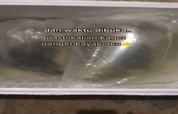 Beritabali.com