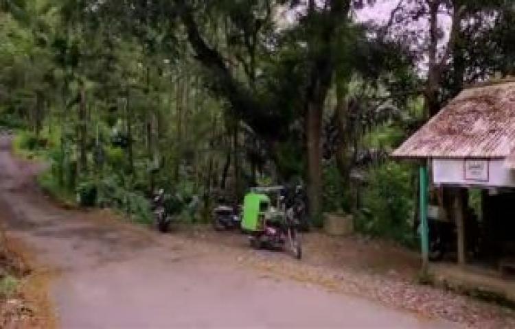 Beritabali.com
