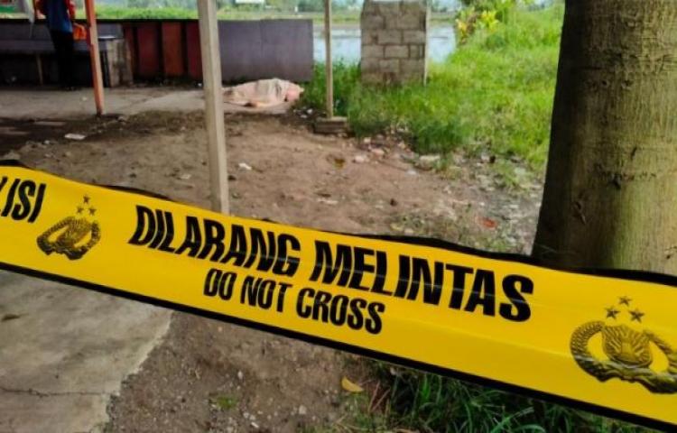 Beritabali.com