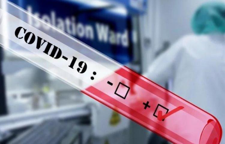 Beritabali.com