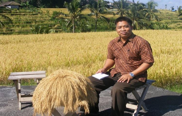 Beritabali.com