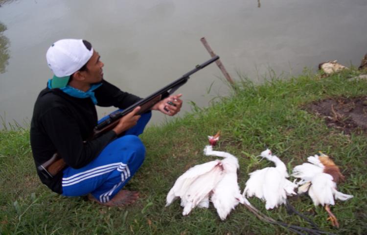 Beritabali.com
