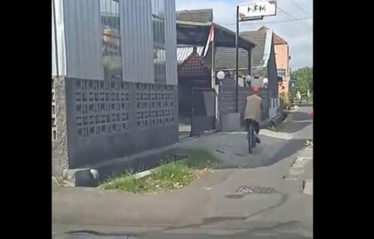 Beritabali.com