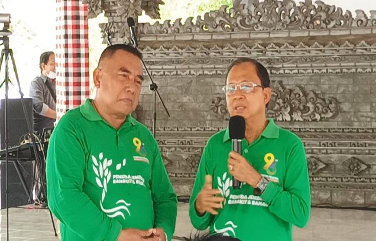 Beritabali.com