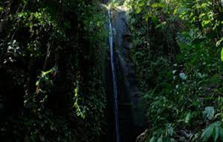 Beritabali.com