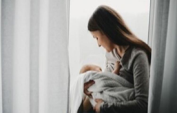 Beritabali.com