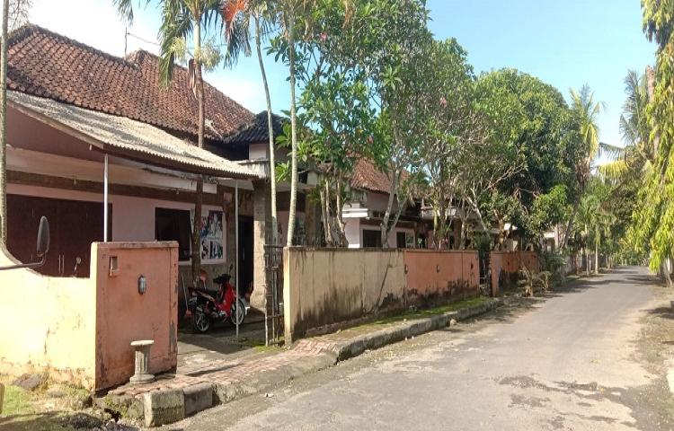 Beritabali.com