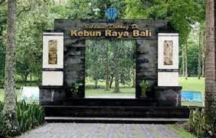 Beritabali.com