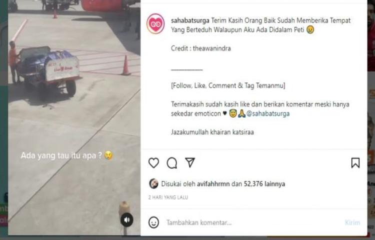 Beritabali.com
