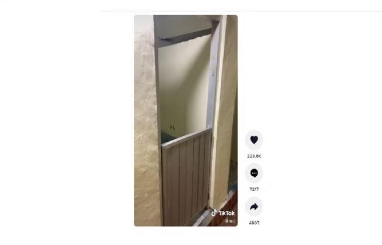 Beritabali.com