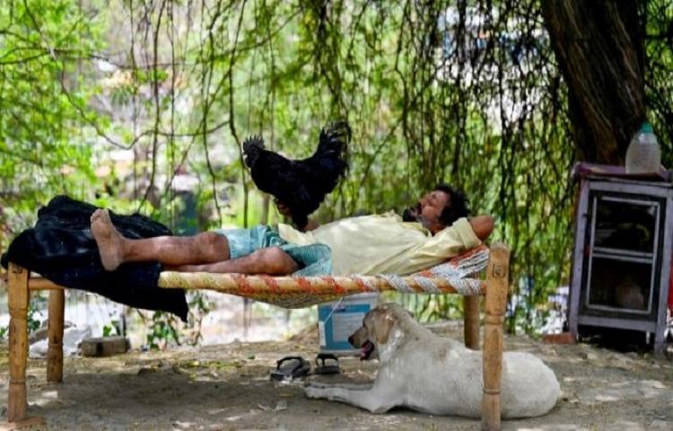 Beritabali.com