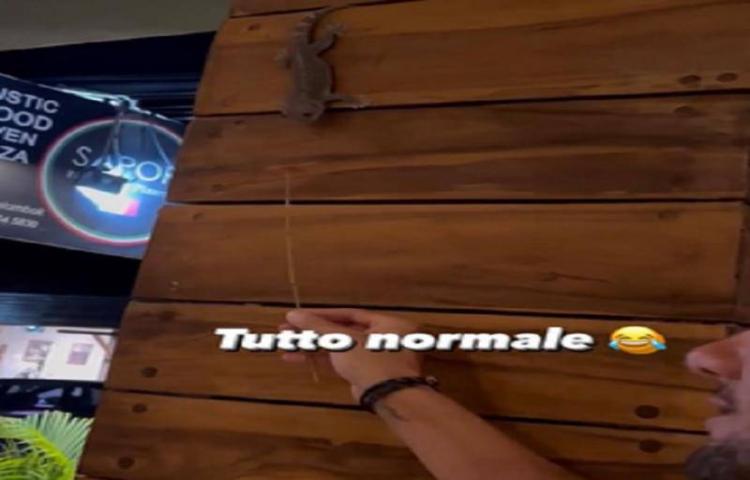 Beritabali.com