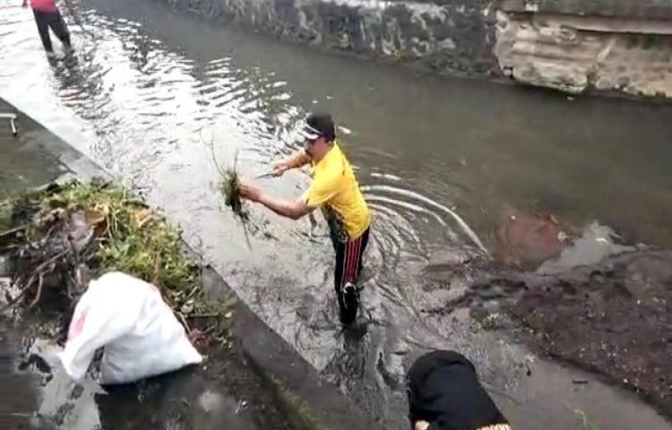 Beritabali.com