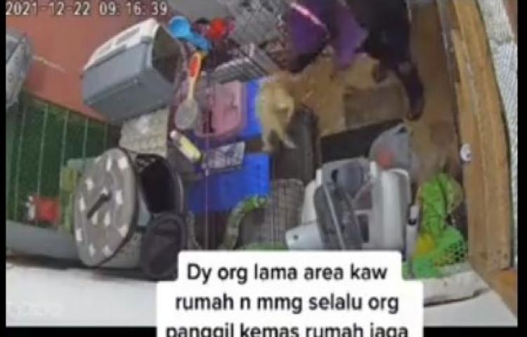 Beritabali.com