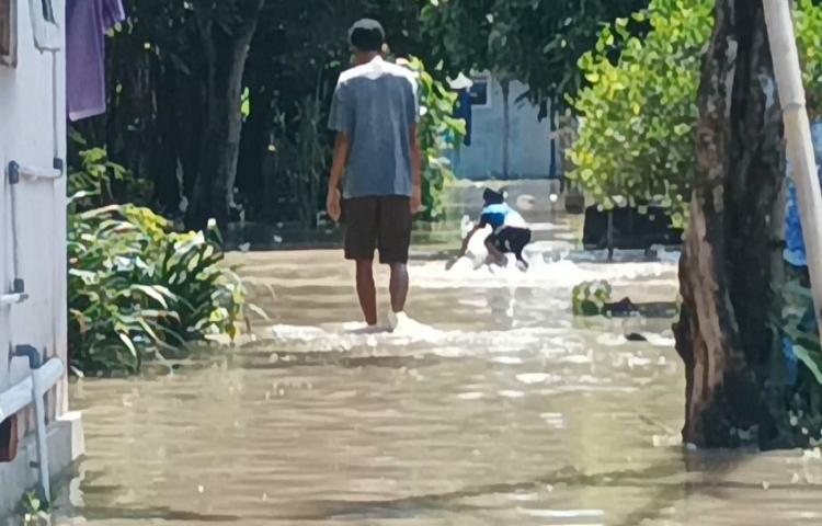 Beritabali.com