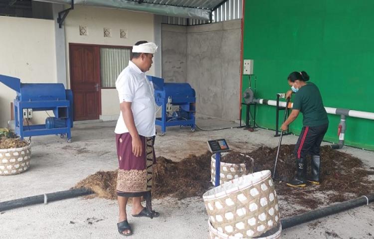 Beritabali.com