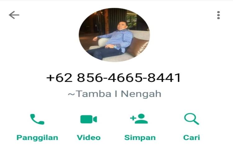 Beritabali.com