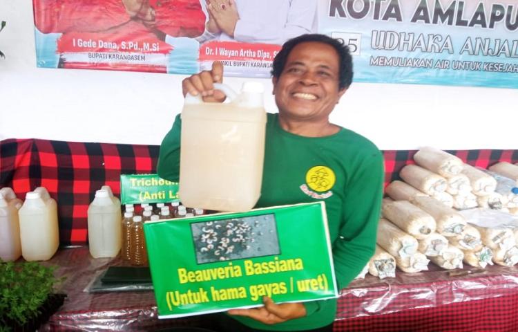 Beritabali.com