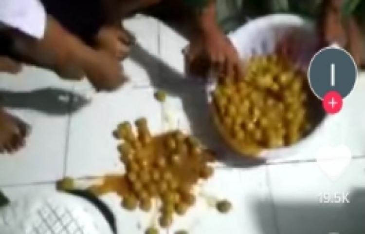 Beritabali.com