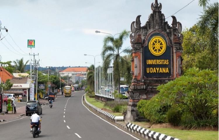 Beritabali.com