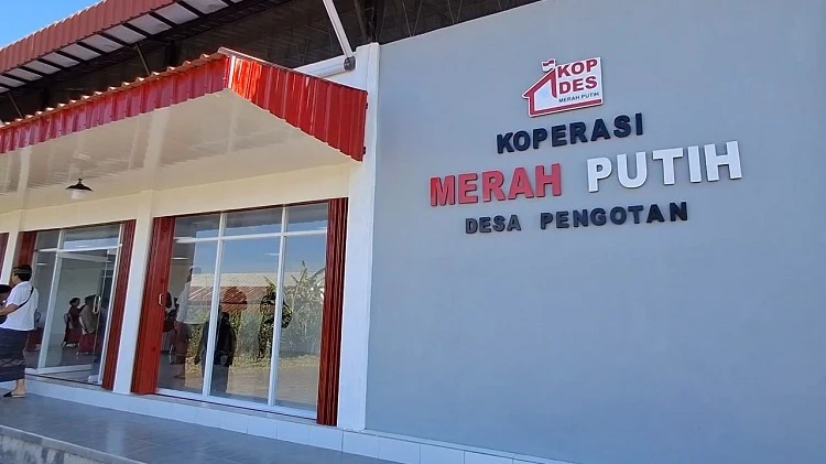 Beritabali.com