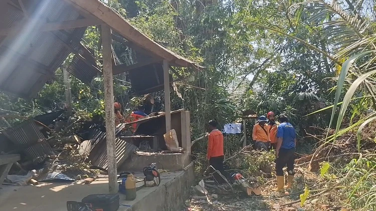 Beritabali.com