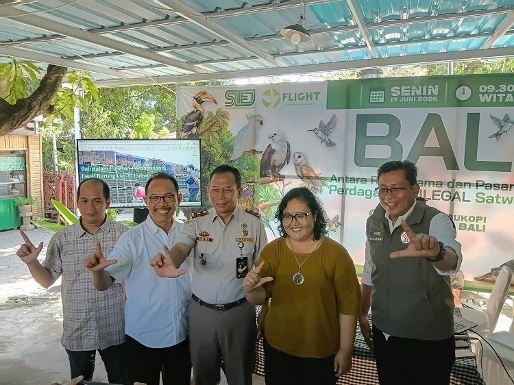 Beritabali.com