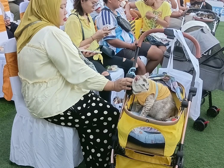 Beritabali.com