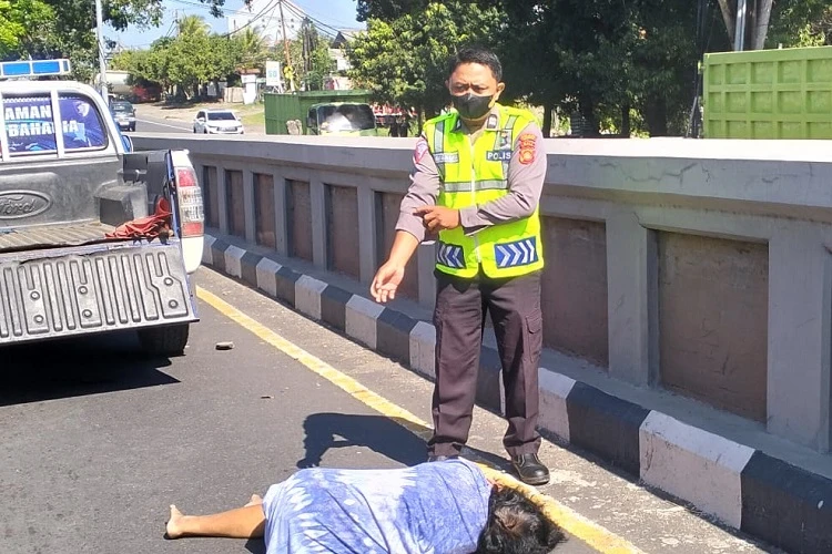 Beritabali.com