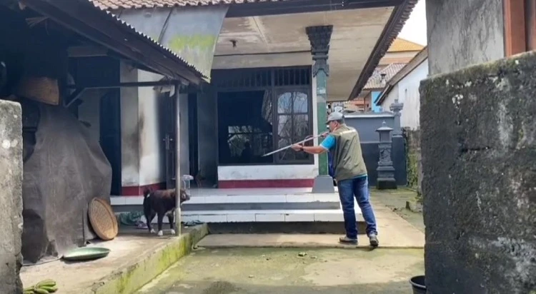 Beritabali.com